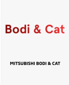 body-and-cat